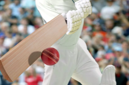 Top 10 Greatest Cricket Players in History and Their Legacy
